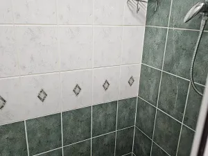 Pronájem rodinného domu, Ostrava, Jedlová, 180 m2