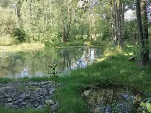 Pronájem chaty, Ostrava, Staroveská, 22 m2