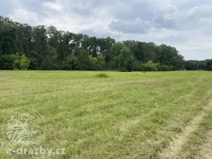 Dražba pole, Oseček, 83999 m2