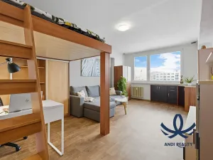 Pronájem bytu 1+1, Mladá Boleslav, Jana Palacha, 40 m2