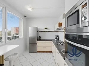 Pronájem bytu 1+1, Mladá Boleslav, Jana Palacha, 40 m2