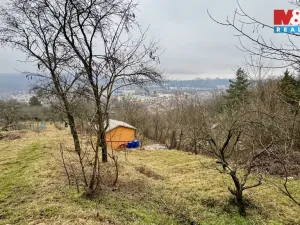 Pronájem zahrady, Brno - Obřany, 300 m2