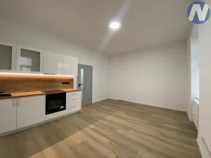 Pronájem bytu 1+kk, České Budějovice, Rudolfovská tř., 33 m2