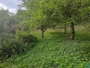 Prodej pozemku pro bydlení, Vysoké Mýto, Vinice, 1447 m2