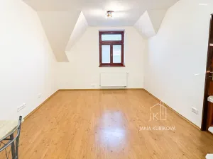 Pronájem bytu 1+kk, Kyjov, Jungmannova, 38 m2