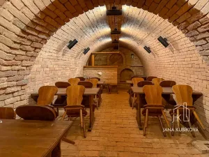 Pronájem ubytování, Valtice, Josefská, 251 m2