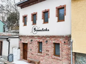 Pronájem ubytování, Valtice, Josefská, 251 m2