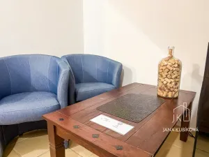 Pronájem ubytování, Valtice, Josefská, 251 m2