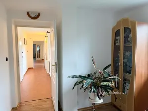 Prodej rodinného domu, Želetice, 220 m2