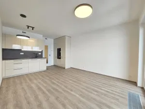 Pronájem bytu 1+kk, Praha - Hloubětín, Poděbradská, 34 m2