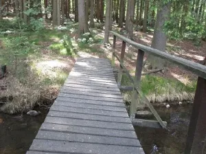 Prodej louky, Velký Šenov, 3266 m2