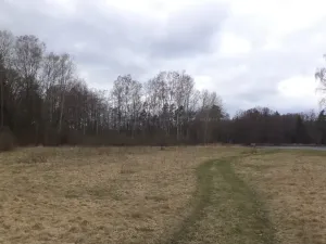 Dražba louky, Chlum u Třeboně, 6727 m2