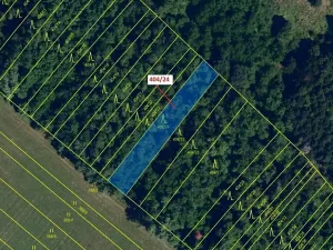 Dražba lesa, Ivančice, 741 m2