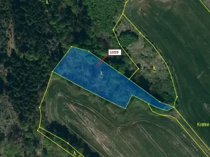 Dražba lesa, Náměšť nad Oslavou, 3646 m2