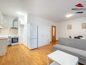 Pronájem bytu 1+kk, Brno, Langrova, 32 m2