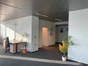 Pronájem kanceláře, Praha - Holešovice, Jankovcova, 221 m2