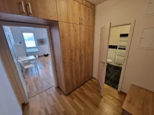 Pronájem bytu 1+kk, Ostrava - Moravská Ostrava, Jantarová, 37 m2