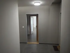 Prodej bytu 1+kk, Hranice, Pod Nemocnicí, 36 m2