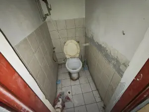 Prodej rodinného domu, Protivanov, 296 m2