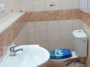 Prodej bytu 2+kk, Teplice, Pražská, 40 m2