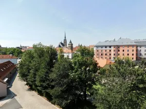 Pronájem bytu 1+kk, Plzeň, Pallova, 29 m2