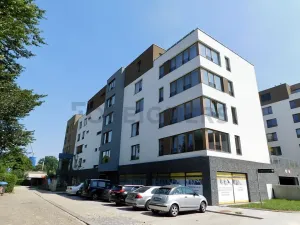 Pronájem bytu 1+kk, Plzeň, Pallova, 29 m2