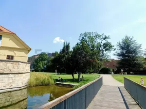 Pronájem bytu 1+kk, Plzeň, Pallova, 29 m2