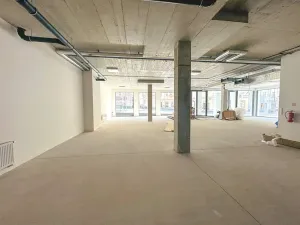 Pronájem obchodního prostoru, Praha, 246 m2