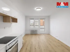 Pronájem bytu 1+kk, Ostrava - Výškovice, Lumírova, 27 m2