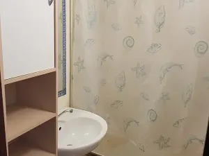 Pronájem bytu 1+kk, Nový Jičín, Dvořákova, 32 m2