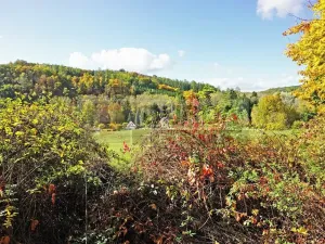 Prodej chaty, Kaliště, 30 m2