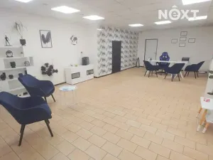 Prodej vícegeneračního domu, Mimoň, Mírová, 470 m2