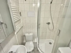 Pronájem bytu 1+1, Kladno, 32 m2