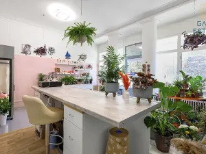 Pronájem obchodního prostoru, Holešov, U Letiště, 55 m2