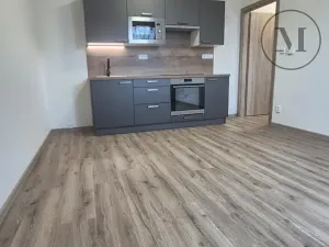 Pronájem bytu 2+kk, České Budějovice, Novohradská, 42 m2