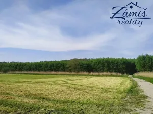 Prodej sadu/vinice, Kačice, K zahradě, 43712 m2