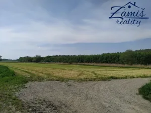 Prodej sadu/vinice, Kačice, K zahradě, 43712 m2