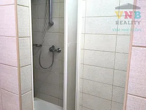 Pronájem komerční nemovitosti, Uničov, Litovelská, 110 m2