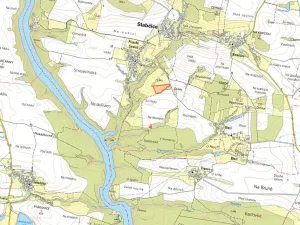 Prodej louky, Slabčice, 21867 m2