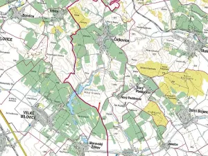 Prodej pole, Čejkovice, 3169 m2