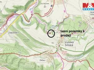 Prodej louky, Vysoká Srbská, 26000 m2