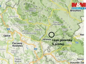 Prodej louky, Vysoká Srbská, 26000 m2