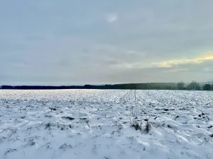 Prodej pole, Zbýšov, 10847 m2