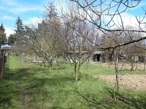 Prodej zahrady, Mohelnice, 391 m2