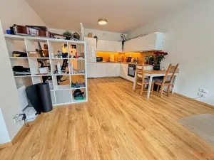 Pronájem bytu 2+kk, Praha - Holešovice, Jankovcova, 79 m2