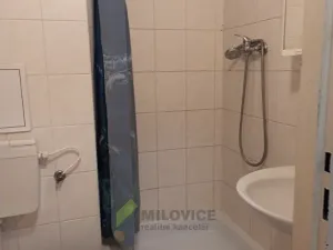 Pronájem bytu 1+1, Milovice, Spojovací, 30 m2