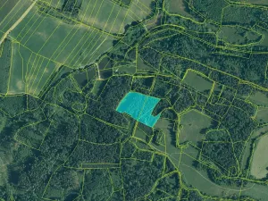 Prodej lesa, Pačejov, 15990 m2