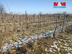 Prodej pole, Morkůvky, 3677 m2