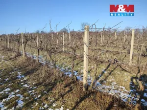 Prodej pole, Morkůvky, 3677 m2