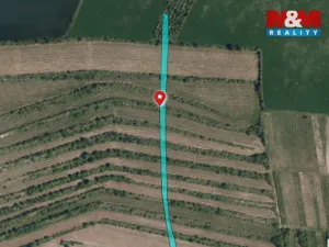 Prodej pole, Morkůvky, 3677 m2